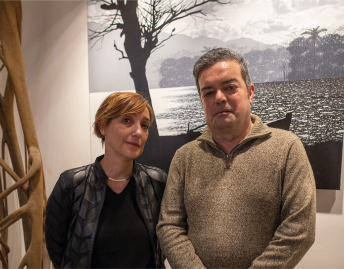 Nogarde-Extens,-donde-el-cliente-puede-cubrir-todas-las-necesidades-de-su-empresa